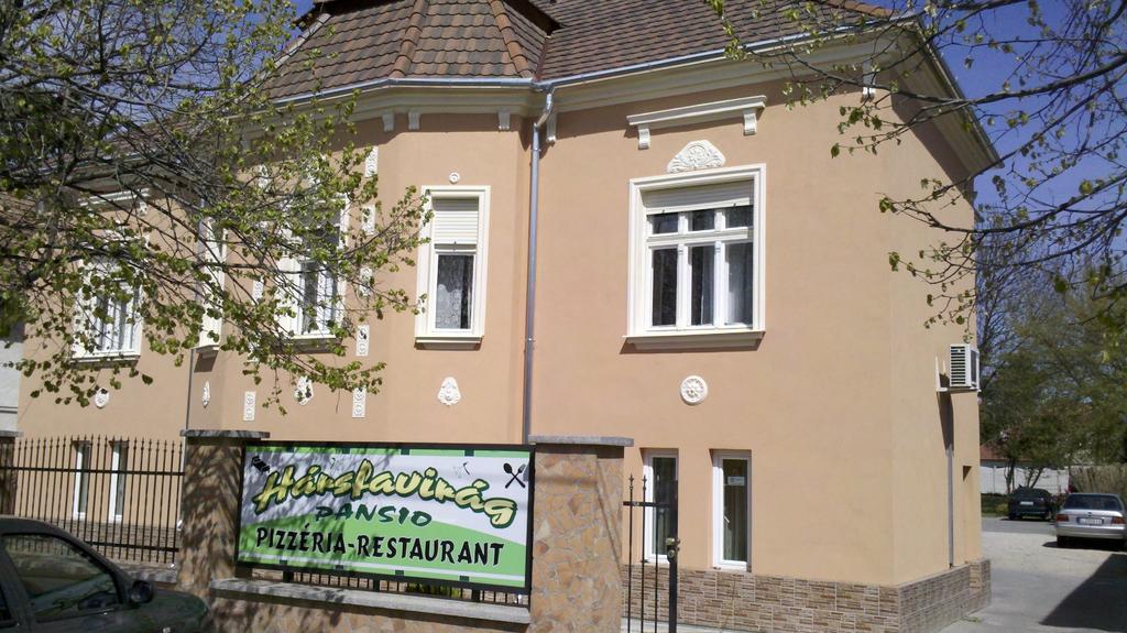 Harsfavirag Vendeghaz Bed & Breakfast Papa Exterior photo